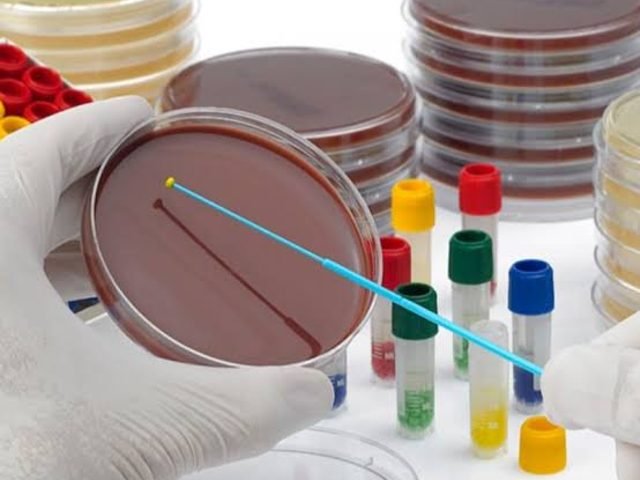 Bacteriology