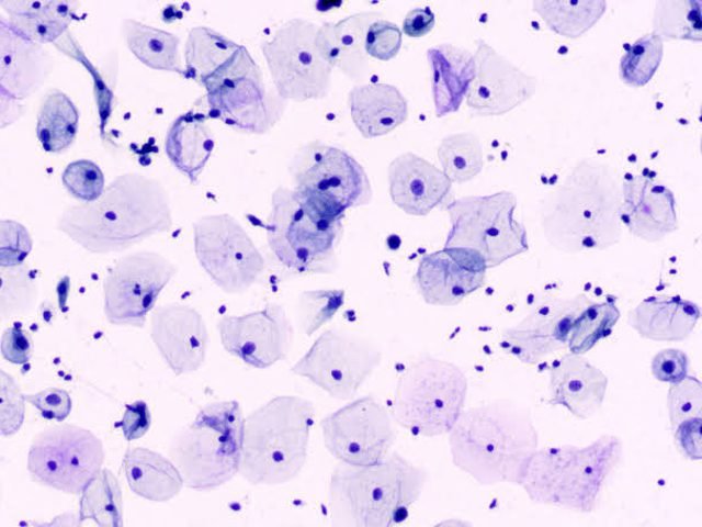 Cytology