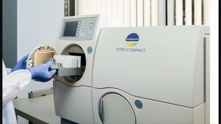 Immunoassay
