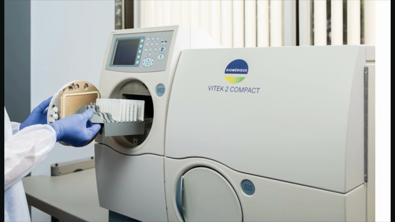 Lab